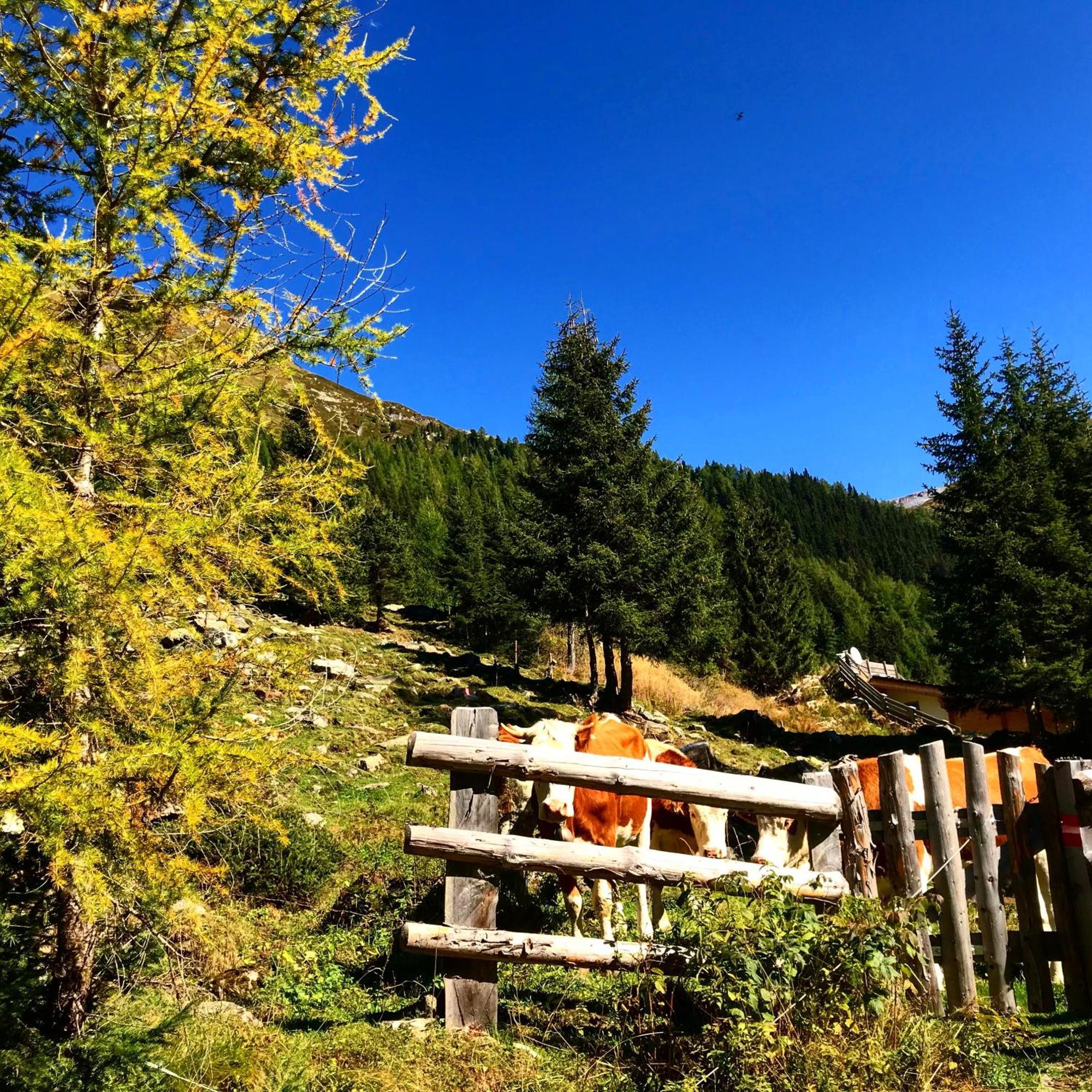 Berghaus Aussergschloess Matrei in Osttirol Exterior photo
